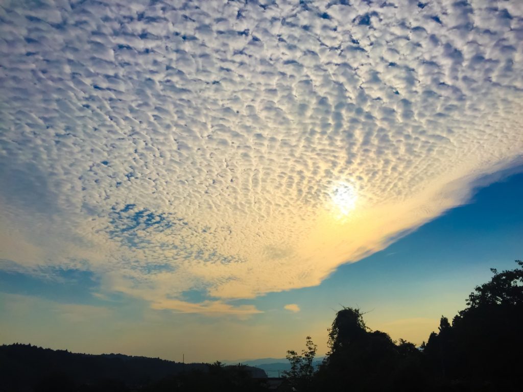 不死身の分隊長 舩坂弘 フリーラーニングの教科書